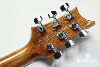 SE T40E - Tobacco Burst